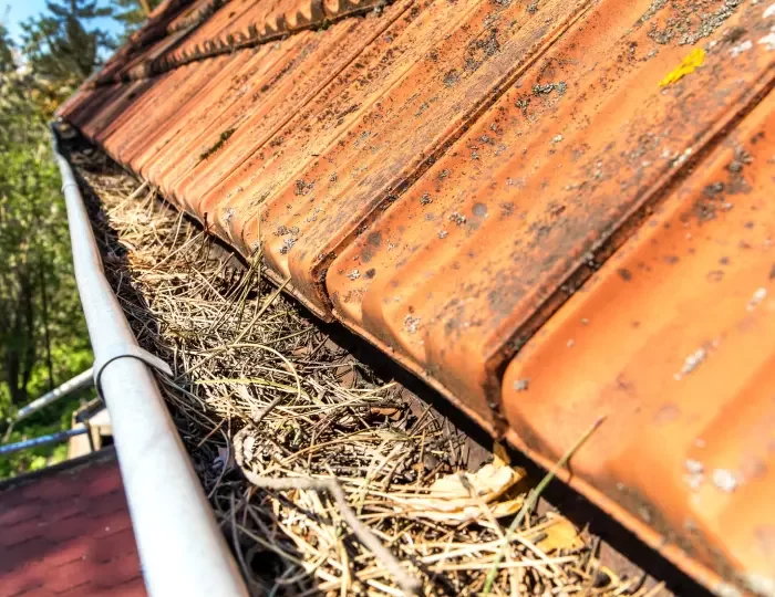 Brossage toiture manuel Gap